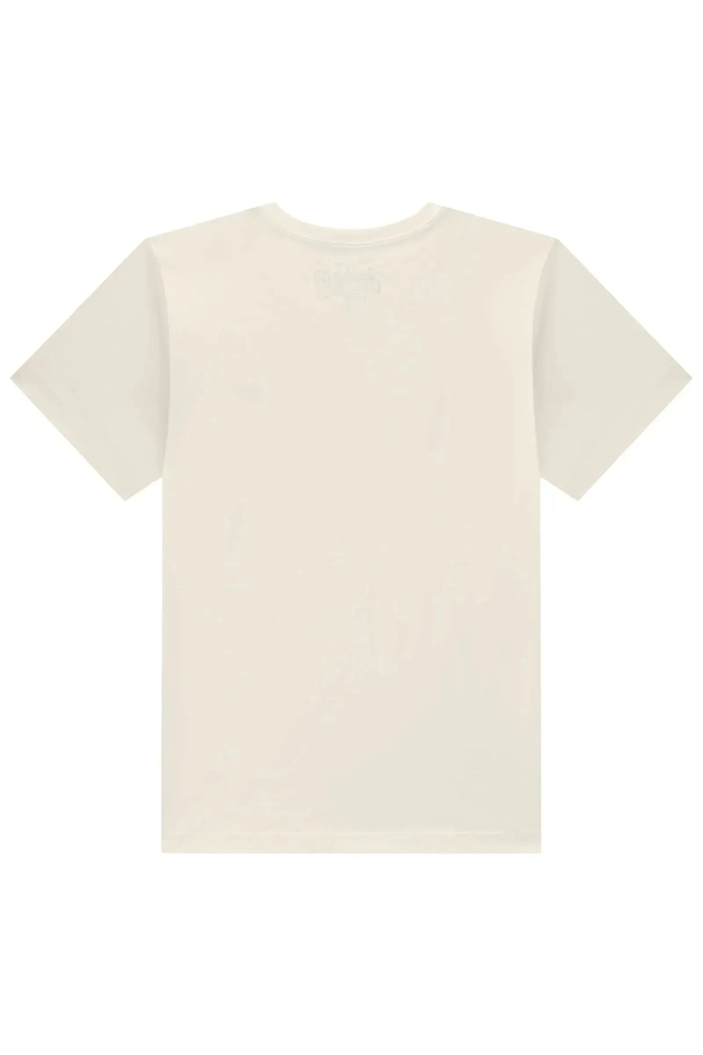 Camiseta em Meia Malha 94100 Johnny Fox Teen Menino